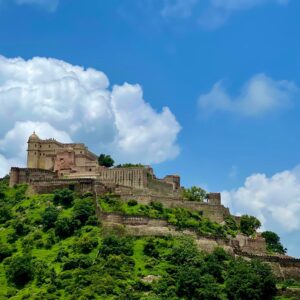 pexels-neel-upadhyay-433316527-15400129 (1)