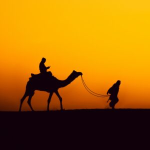sumit-kr-sau-DmK8oBcHLck-unsplash